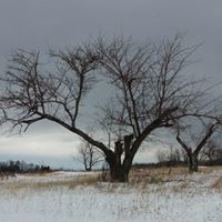 Debbie Dyer Ashby
