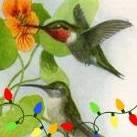 Brenda Thul