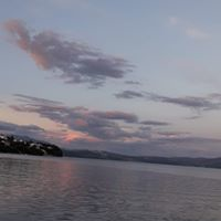 Jadranka Brala