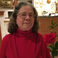 Carol Van Der Woude