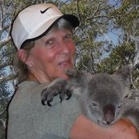 Carol Henry