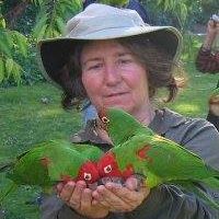 Wendy Tanowitz