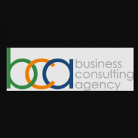 Business Consulting Agency