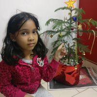 Animesh Lodiya