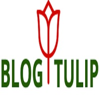 Blog Tulip