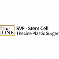 The Line Plastic Surgery Clinic