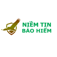 Niá»m Tin Báº£o Hiá»ƒm