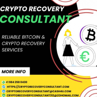 CRYPTO RECOVERY CONSULTANT