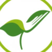 harithaayurveda