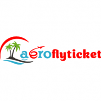 aeroflyticket6