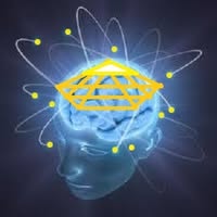 Brain Net