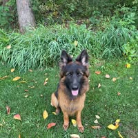 Michelle Albers Eberling