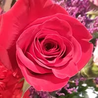 Gloria Cowling Hughes